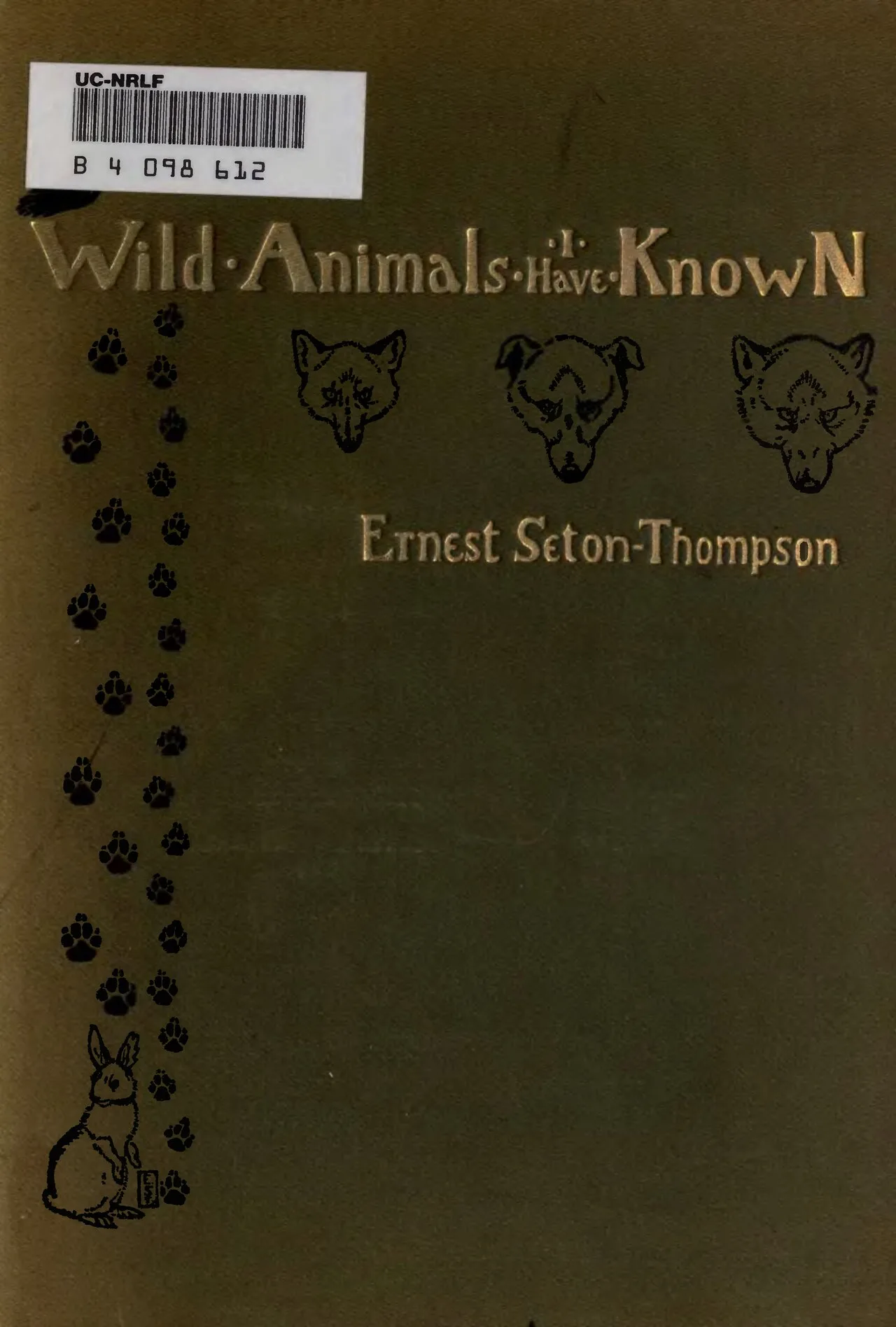 Absolutely Animals